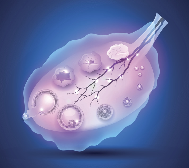 2026年汕头附三代试管婴儿医院生殖医院做二代试管单周期多少钱？